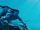Jake and Neytiri Underwater.png