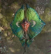 A close-up of a kite manta from above