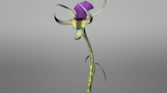 Pandora ROVR Mantis Orchid