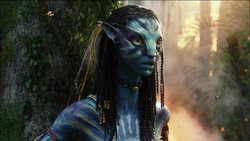 The white hand print