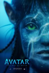 Occupations in the World of Avatar, Avatar Wiki