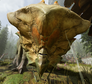 A young bone helm rhino's face directly from the front.