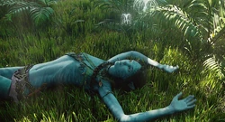 Kiri resting in the forest.