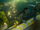 Lo'ak helping his father out.png