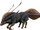 Grody.png