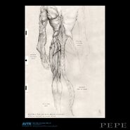 Reef Na'vi Anatomy