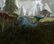 A young meer deer running.