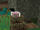 IMG 1682.jpeg