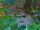 IMG 1667.jpeg