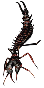 Arachnoid tWoA