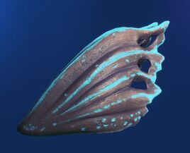 Mudgem Shell