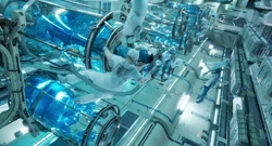 RecombinantAmnioTank