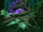 Tree of Vision