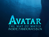 Inside Pandora's Box