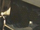 TK-411 WAFAR Missile