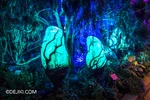 At Avatar: The Experience