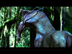 Avatar_Featurette-_DireHorse