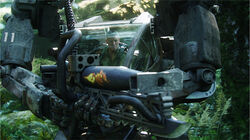 AMP5