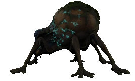 Self Exploding Spider | Avatar Wiki | Fandom