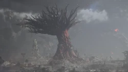 Aranahe's hometree in ashes