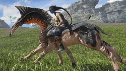 Direhorseblack-orange