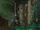 IMG 1563.jpeg
