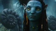 Neytiripaaandora