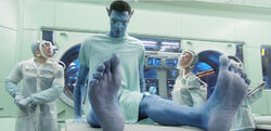 Avatar-jake