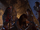 Mo'at tending Neteyam's wounds.png