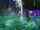 Pale Canopy Root