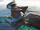 Neteyam flying to the reef.png