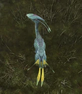 A young meer deer in half-alert posture (tail parallel to the ground, not fully raised) from above.