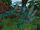 IMG 0719.jpeg