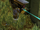 Laser Detector