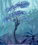 Lilypad Tree
