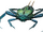 Reef Tick