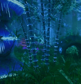 Stormsky bamboo shoots