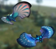 Veilswarm art