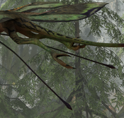 A close-up of the legs of a tetrapteron from the Clouded Forest region of the Western Frontier.