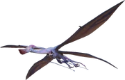 Great Western Tetrapteron