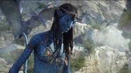 Neytiri 16 HD
