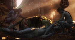 Ronal assisting a comatose Kiri.