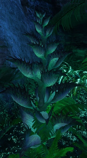 Binary Sunshine | Avatar Wiki | Fandom