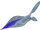 Flat Skate Fish