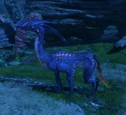 A mature meer deer at night, showing off its bioluminescent pattern.