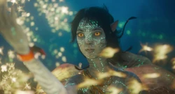 Kiri communicating with animals.