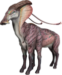 Flat Headed Capra (called "Highland Goat" in files)