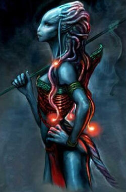 3049243346 34288fbc3b o