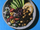 Avatar Plant Based Cookbook