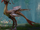 Alpha Dodiapede.png